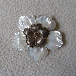Mother of Pearl Pin/Pendant